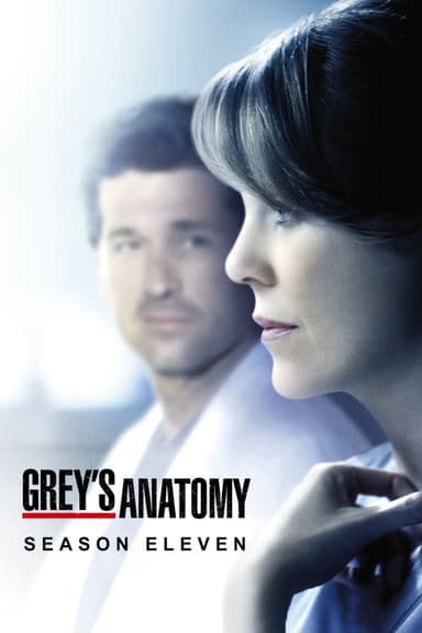 Temporada 11