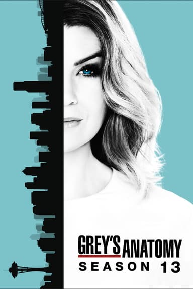 Temporada 13